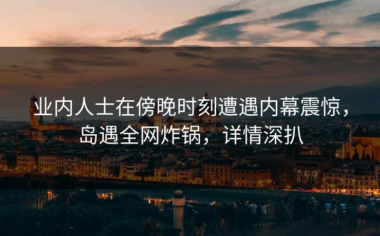 业内人士在傍晚时刻遭遇内幕震惊，岛遇全网炸锅，详情深扒