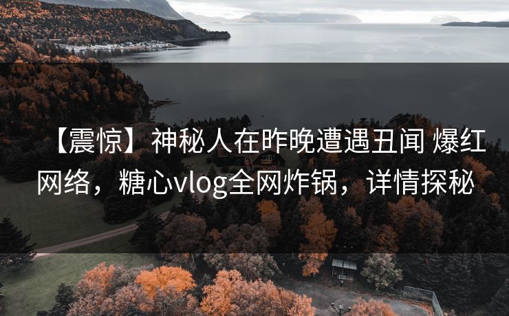 【震惊】神秘人在昨晚遭遇丑闻 爆红网络，糖心vlog全网炸锅，详情探秘