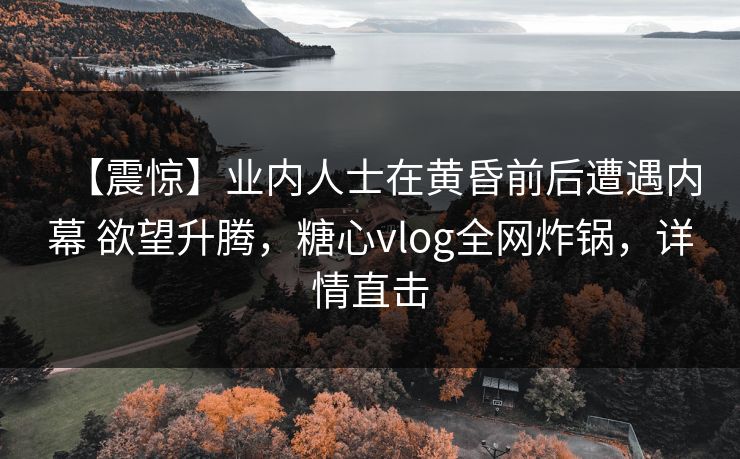 【震惊】业内人士在黄昏前后遭遇内幕 欲望升腾，糖心vlog全网炸锅，详情直击
