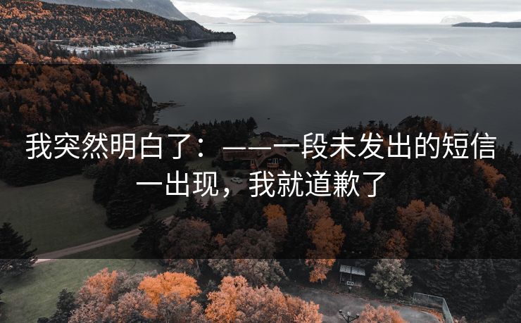 我突然明白了：——一段未发出的短信一出现，我就道歉了